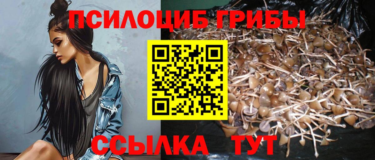 Донецк  Галлюциногенные грибы Psilocybine cubensis  Вход с VPN  Псилоцибиновые грибы Cubensis 